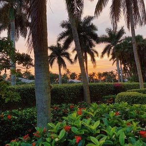 Meet your Posher, Farwa